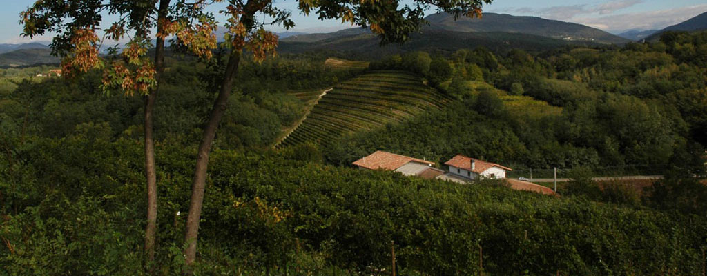 Logo of Vigna Traverso, a wine producer from Friuli
