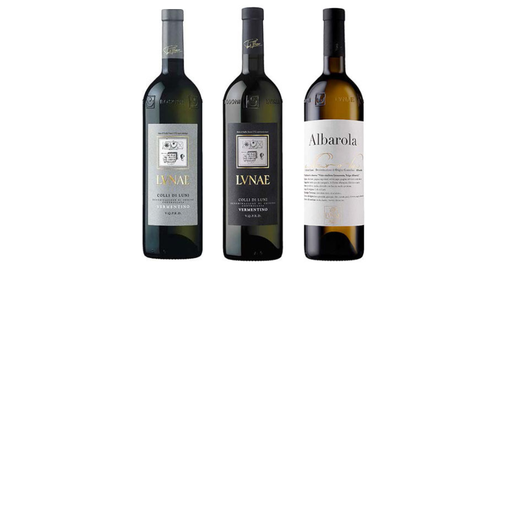 Luxury Liguria pack Navigli Wines