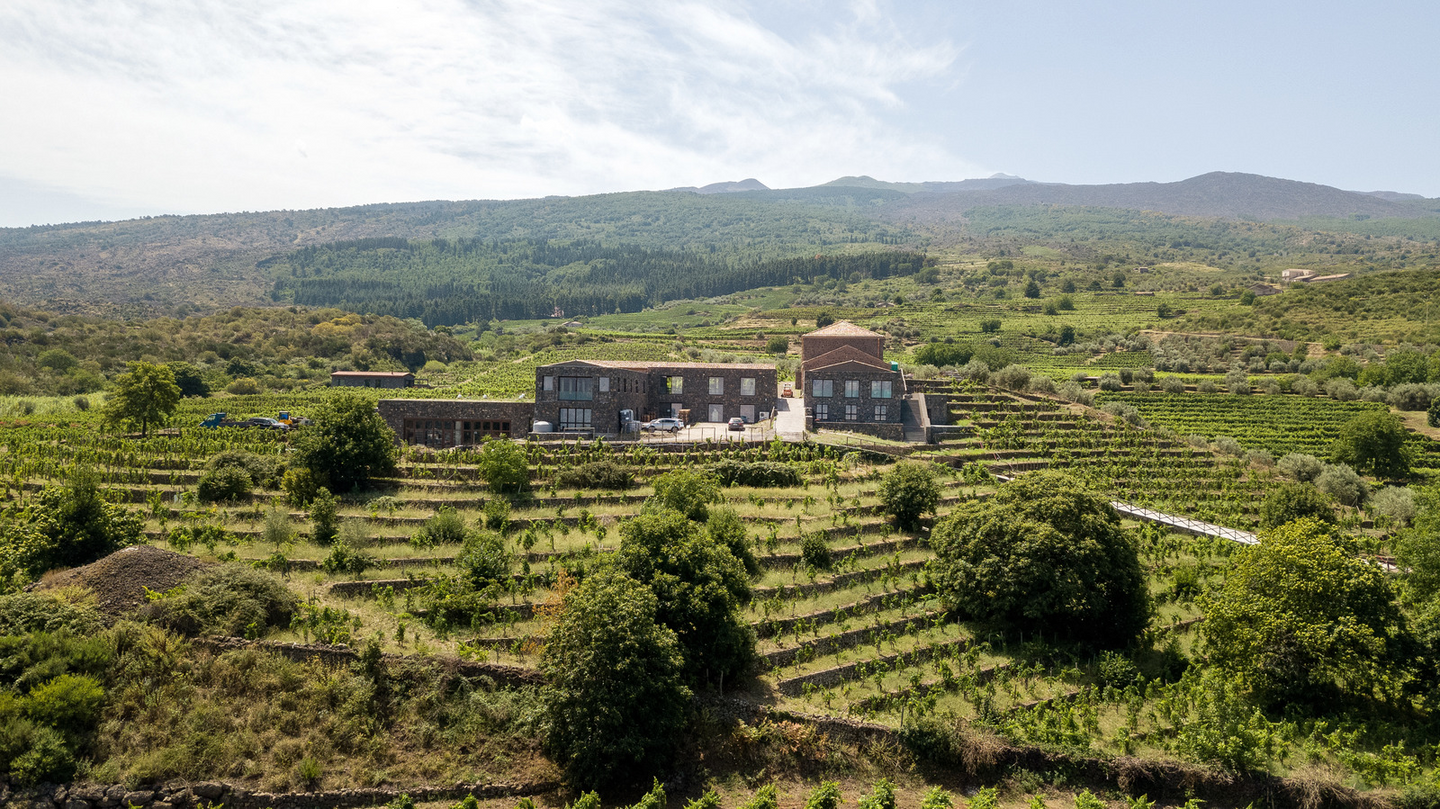 palmento-Costanzo-wines-from-etna-sicily-logo