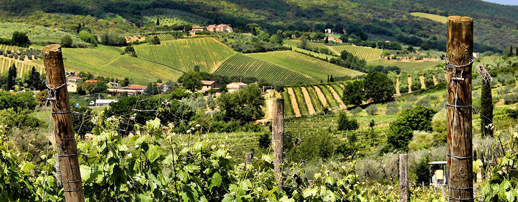 Tuscany aerial photo of an Italian wine region