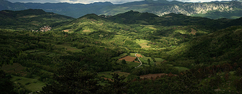 friuli aerial photo of a Northern Italian wine region
