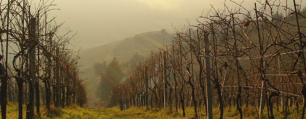 Lombardy aerial photo of Northern Italian wine region