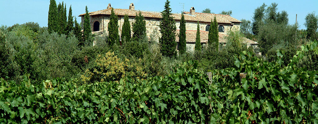 Mocali winery logo  from Tuscany which makes award winning Brunello di Montalcino 
