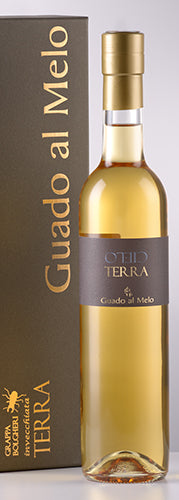 Guado Al Melo Bolgheri Terra Aged Grappa